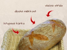 Chléb Křupák